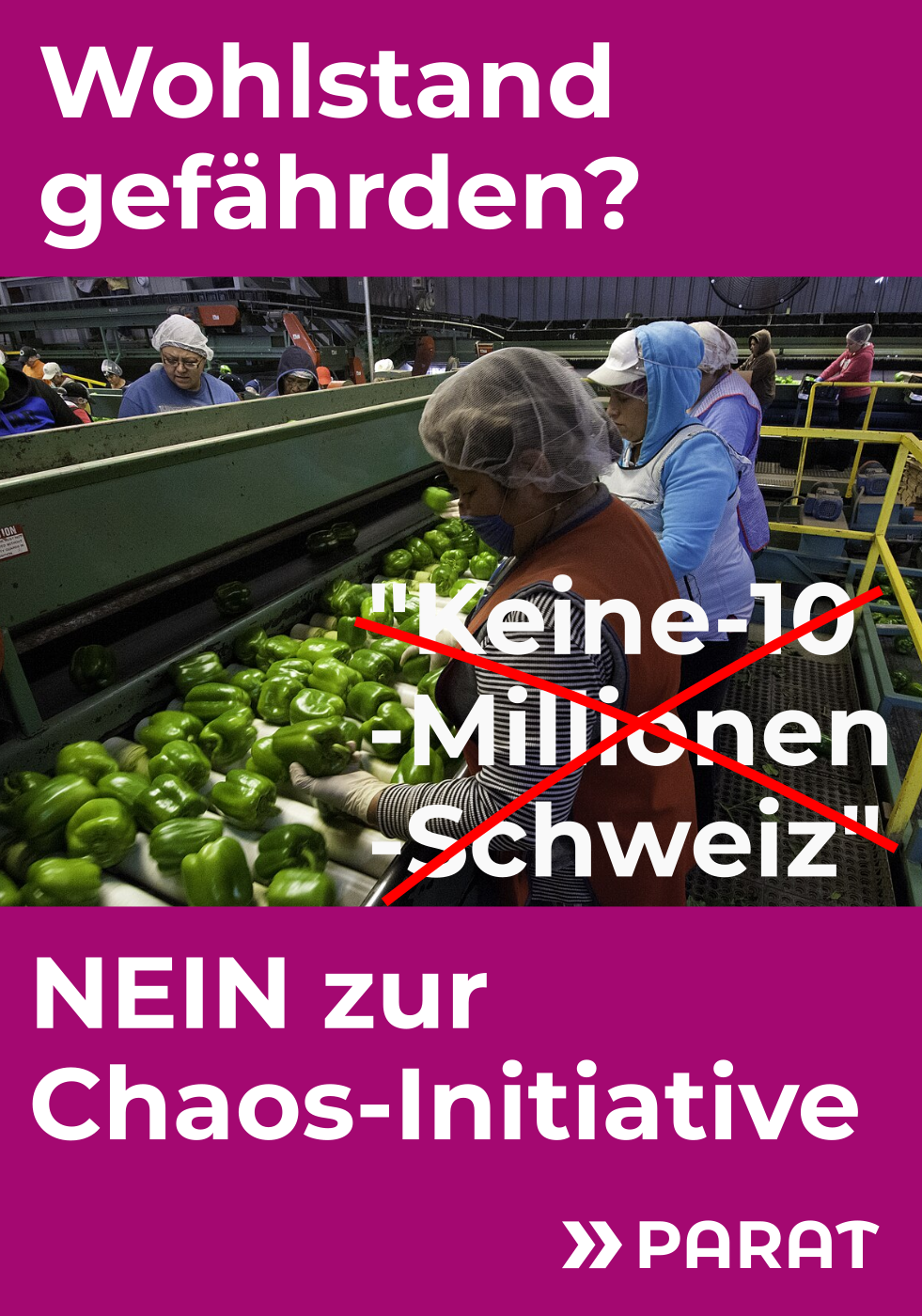Plakat gegen die Volksinitiative "Keine-10-Millionen-Schweiz. Symbolbild migrantische Arbeiter beim Sortieren von Gemüse. Überschrift: Wohlstand gefährende?